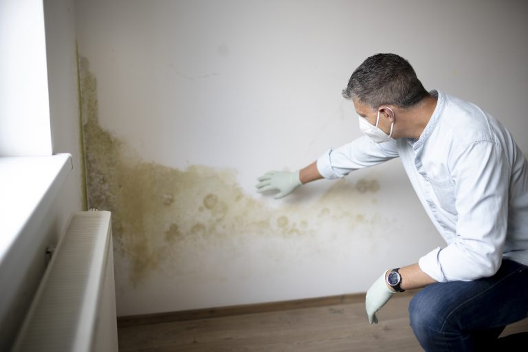 rising damp Hemel Hempstead